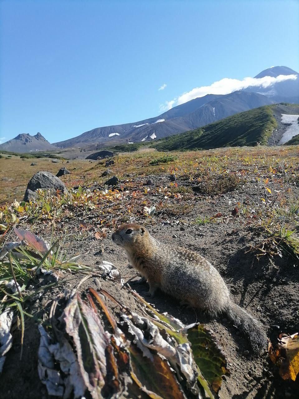 Осень на Камчатке