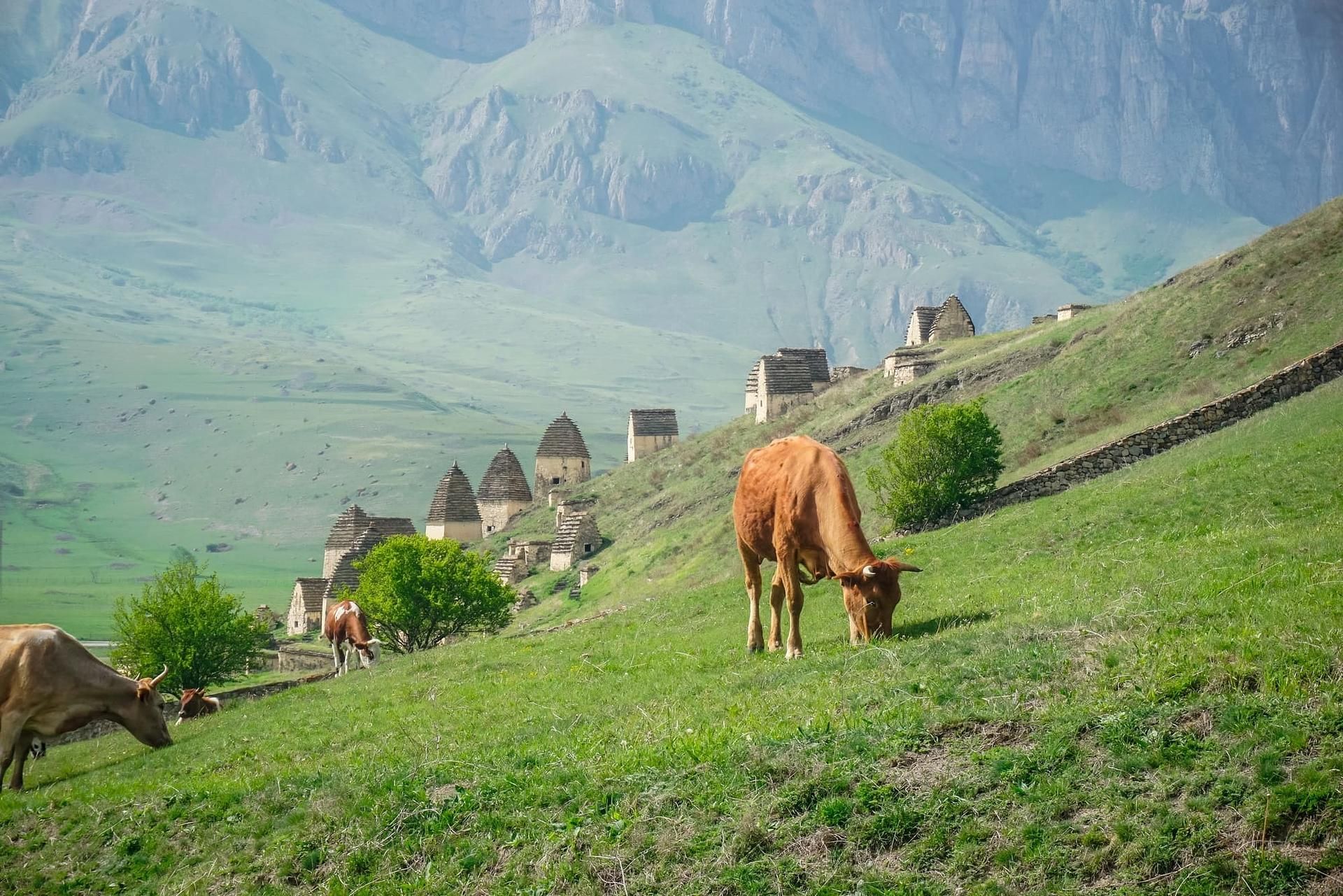 Осетинские вершины