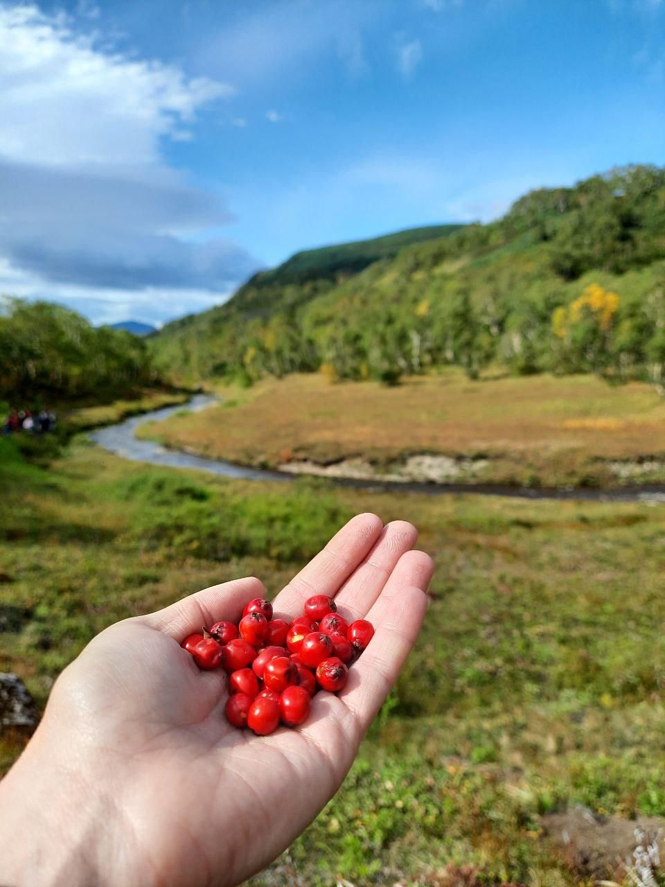 Осень на Камчатке