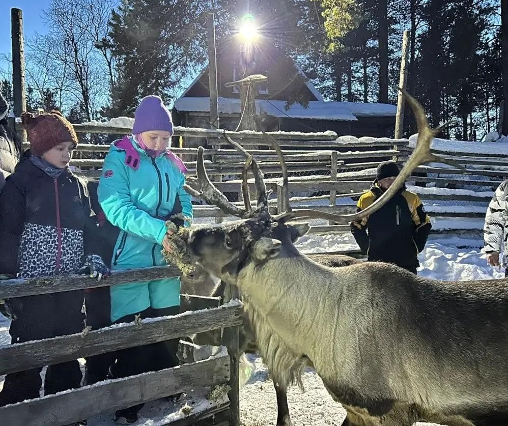 Полярная академия