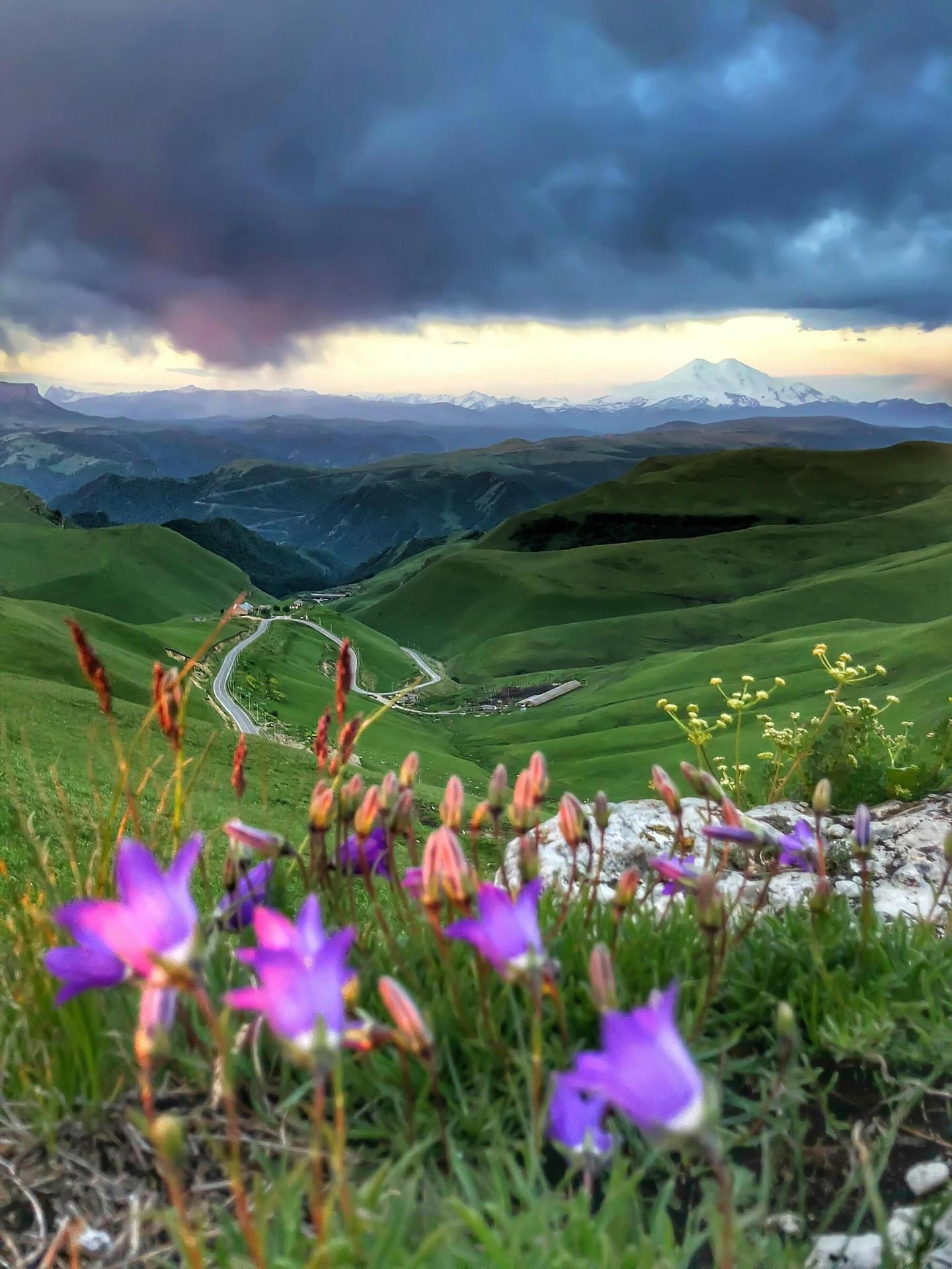 Кавказская классика